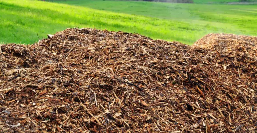 A large pile of bark compost.