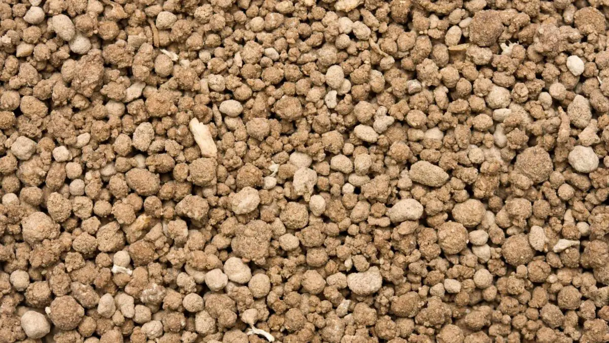 Bone Meal granules ready to apply to your garden