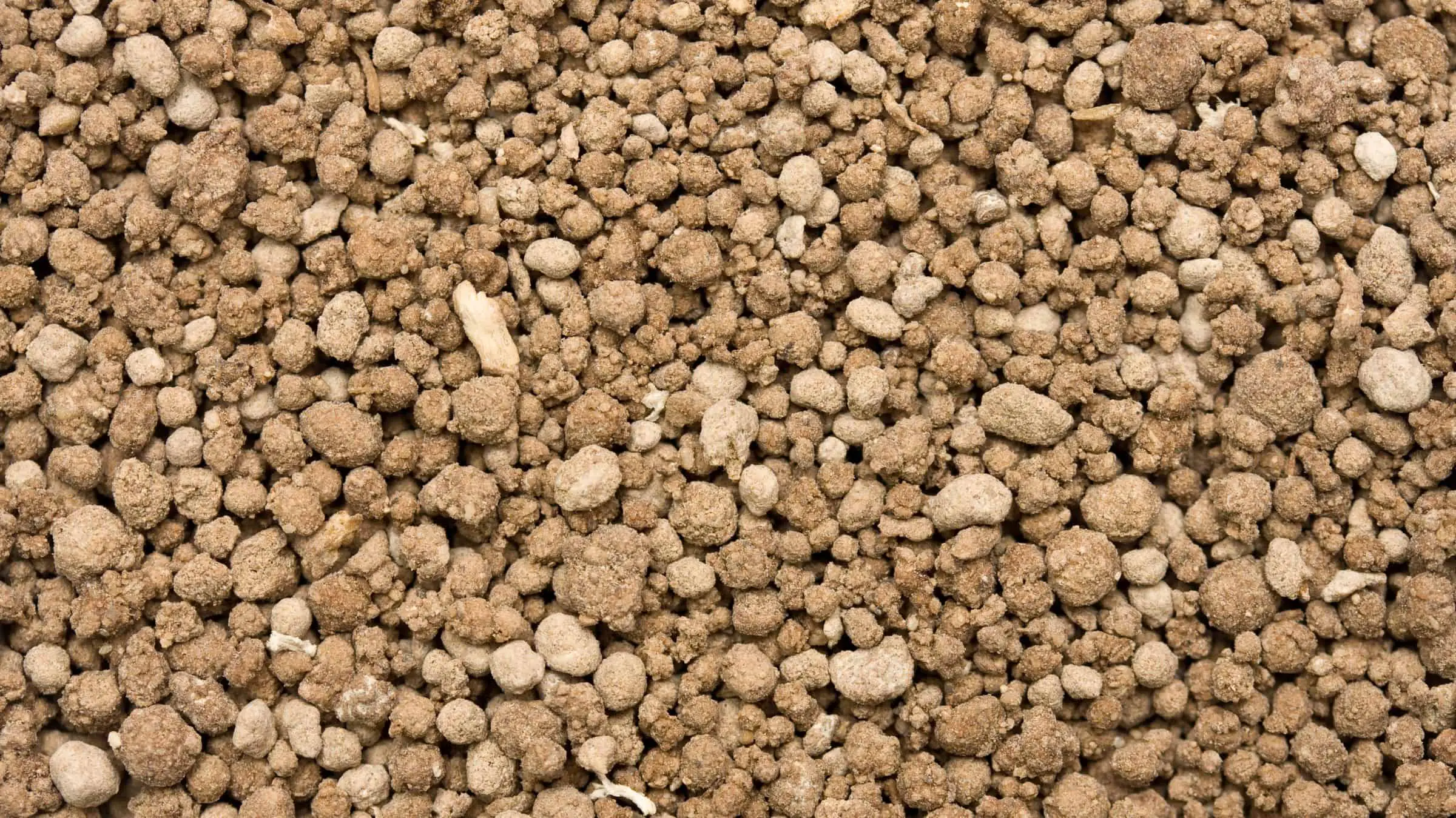 Bone Meal granules ready to apply to your garden