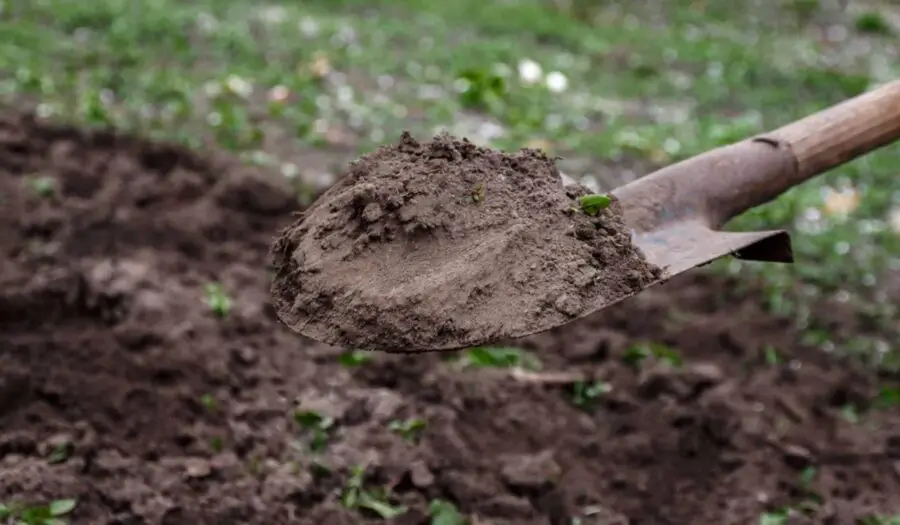 A shovel full of soil from the garden