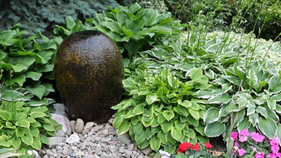 Small hosta grouping of several different hostas and a decorated rock as a focal point.