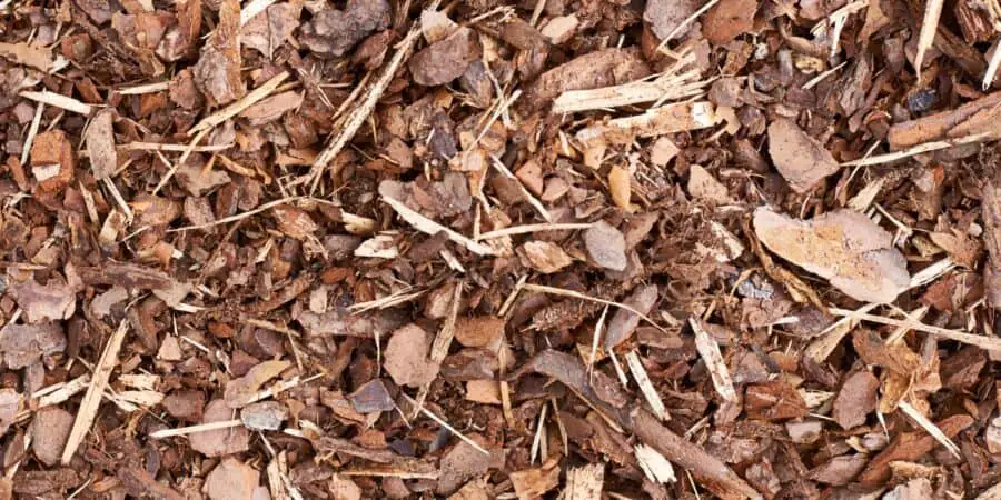 Close up view of shredded bark mulch.