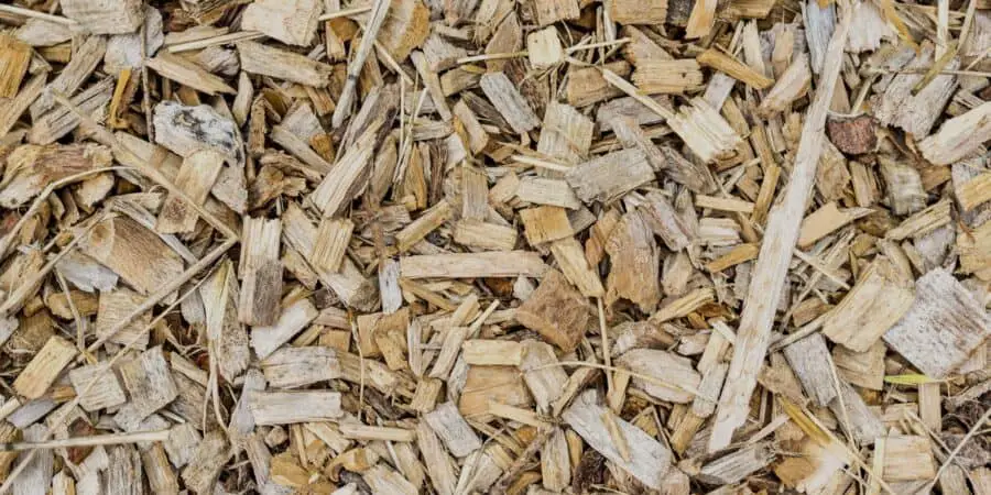Close up view of wood chips.